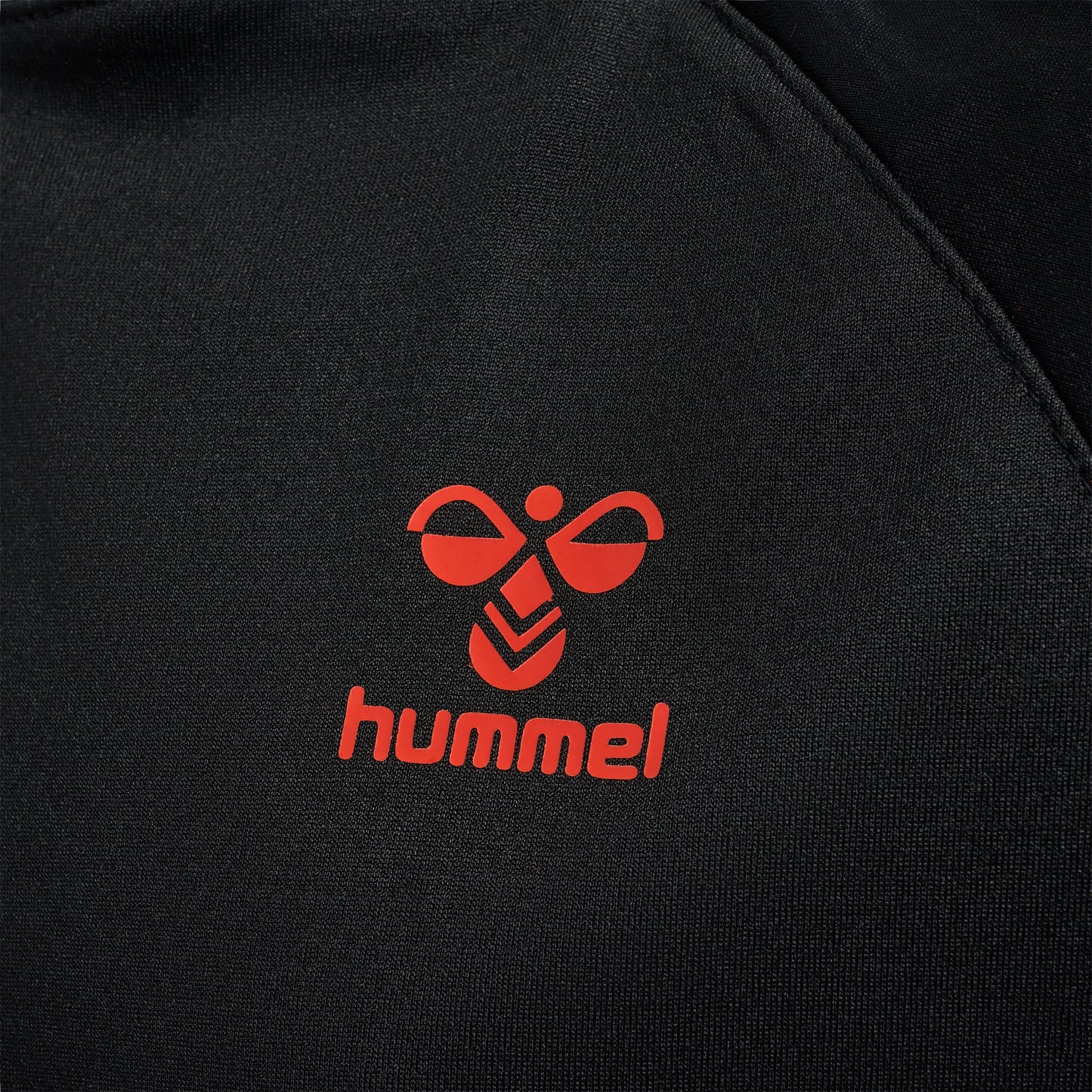 2953-BLACK/CHERRY TOMATO