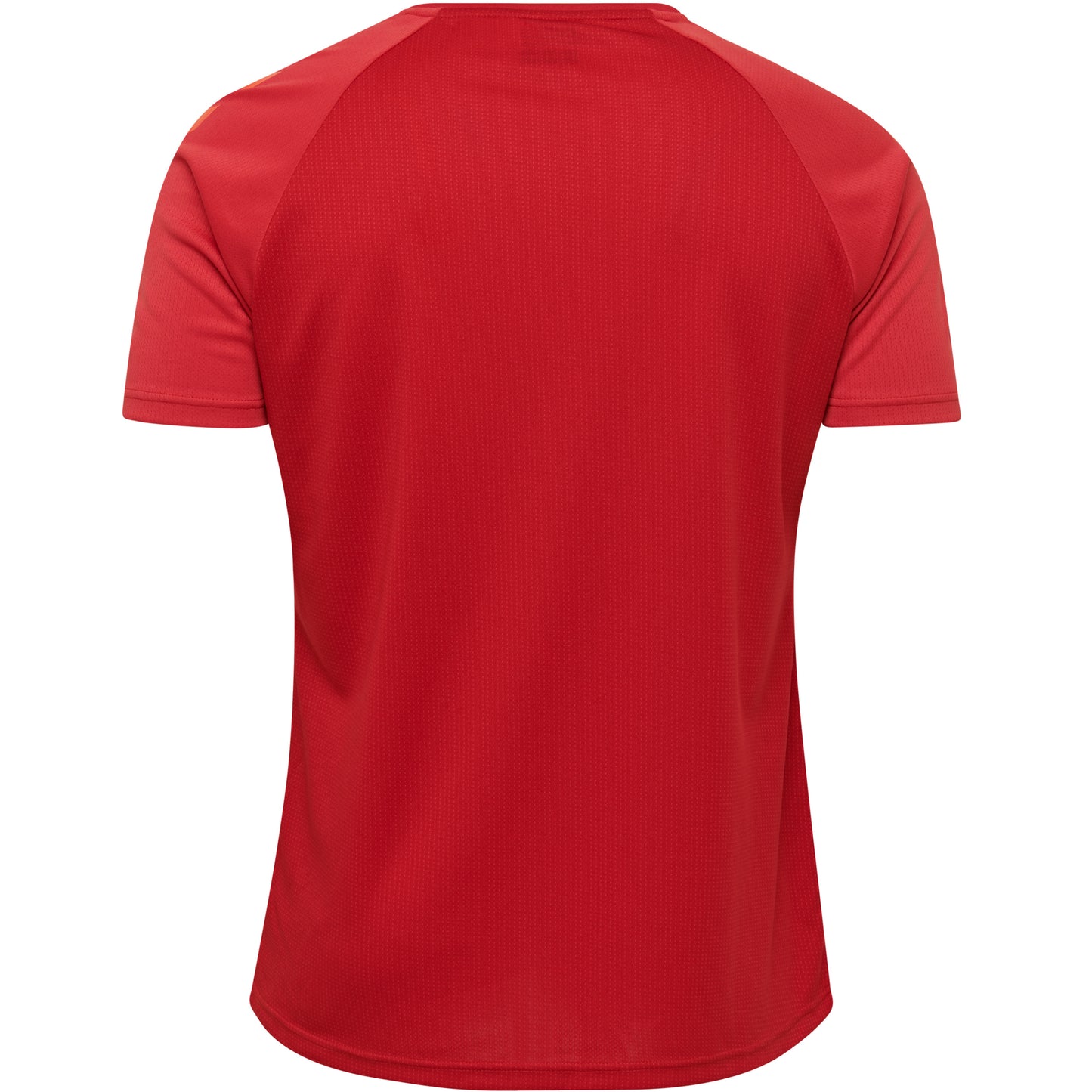 hmlAUTHENTIC PRO JERSEY S/S