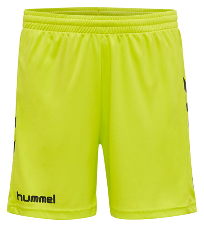 6102-EVENING PRIMROSE