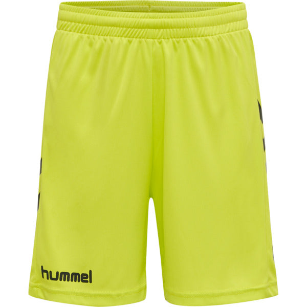 6102-EVENING PRIMROSE