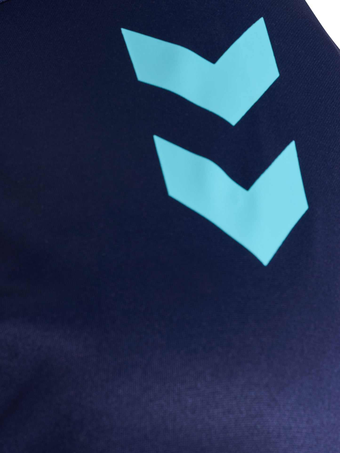 7553-MARINE/BLUE FISH