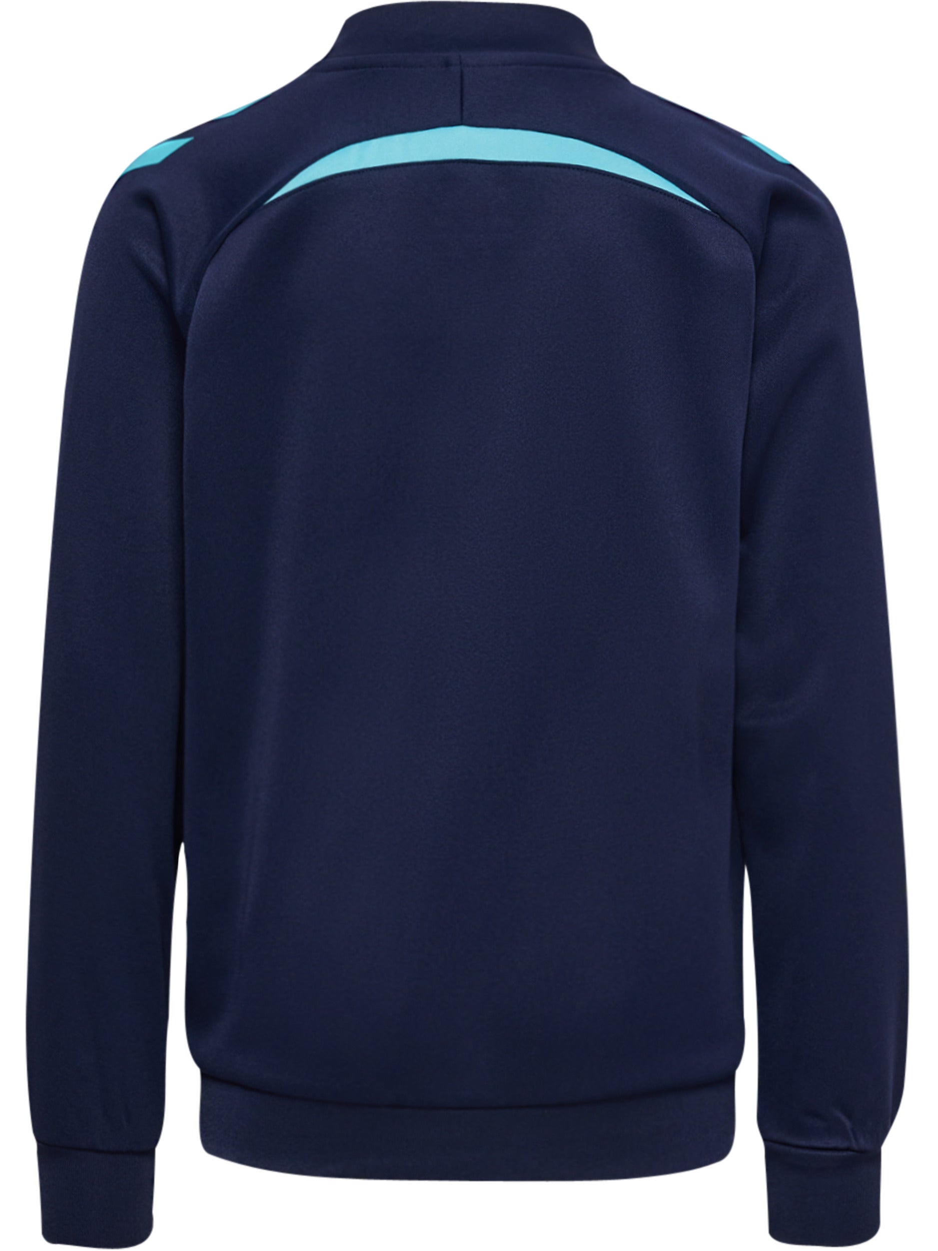 7553-MARINE/BLUE FISH