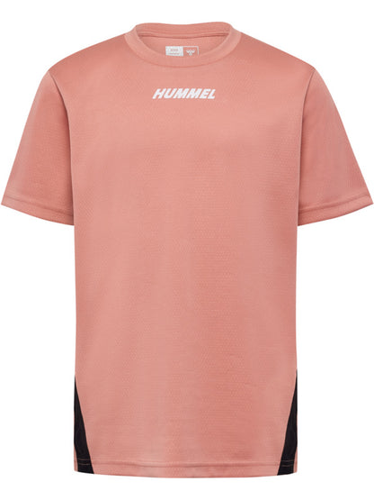 3798-ROSE DAWN/ROSE DAWN