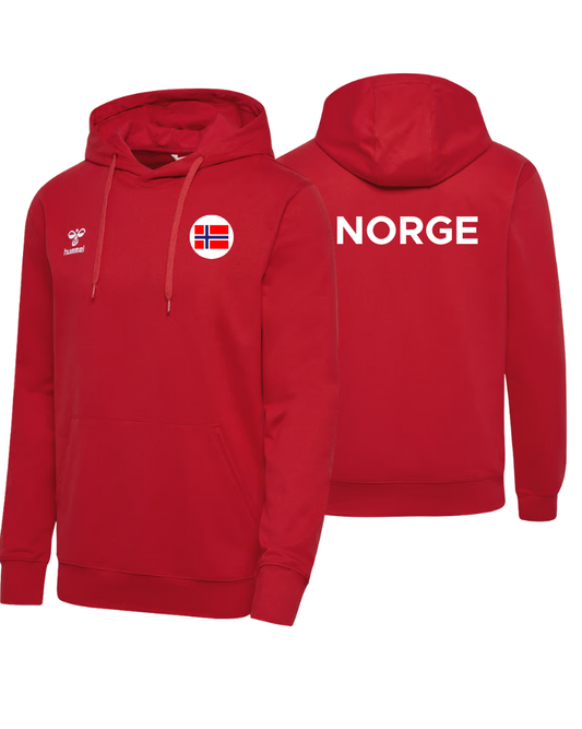 NHF FAN COTTON HOODIE UNISEX