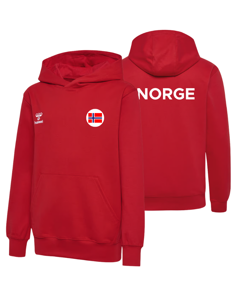 NHF FAN COTTON HOODIE KIDS