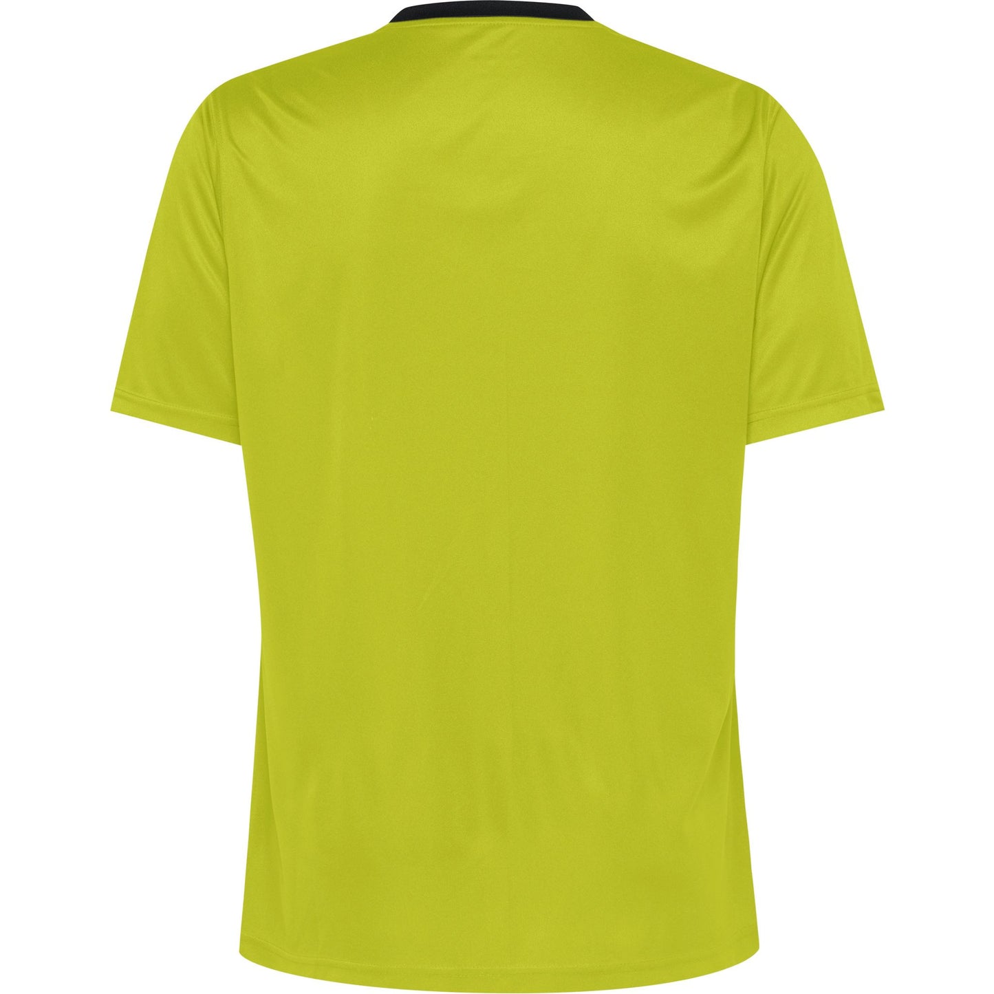 6102-EVENING PRIMROSE