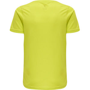 6102-EVENING PRIMROSE